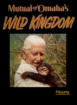 When I was a kid, it wasn't Sunday without watching Mutual of Omaha's Wild Kingdom with Marlin Perkins.